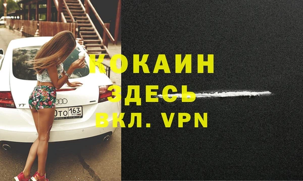 трава Кодинск