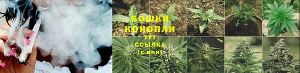 МДПВ Козельск
