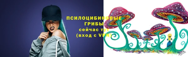 трава Кодинск