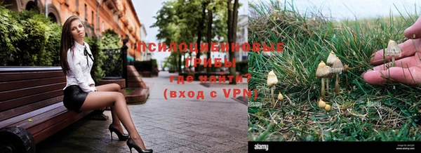 МДПВ Козельск