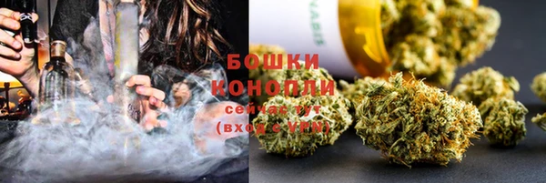 трава Кодинск