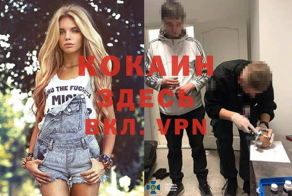 МДПВ Козельск