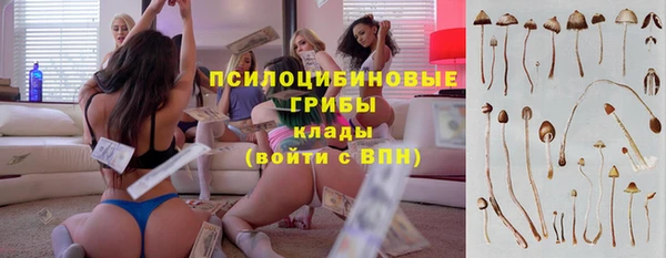 МДПВ Козельск